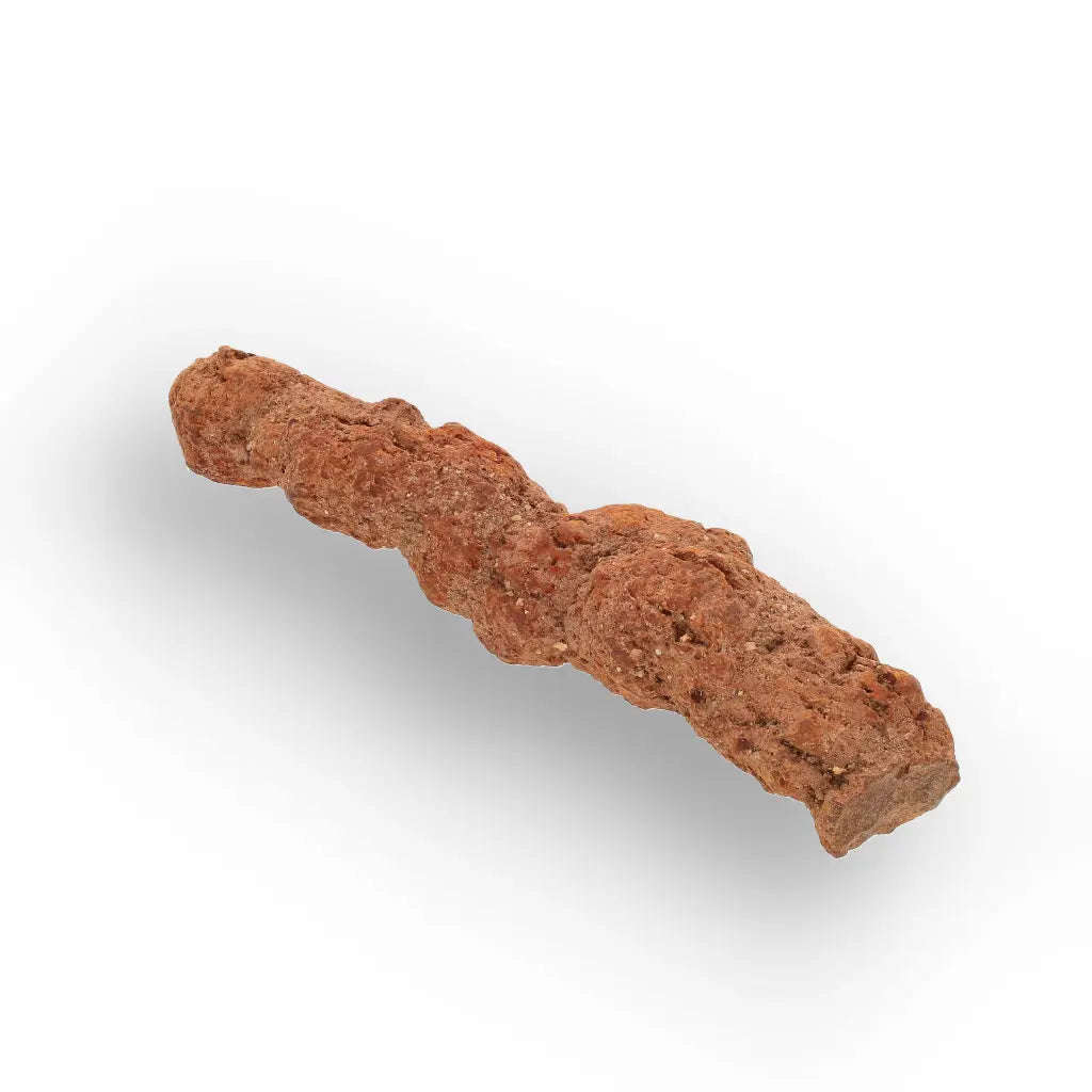 Authentic Madagascan Coprolite Fossil with Segmented Form