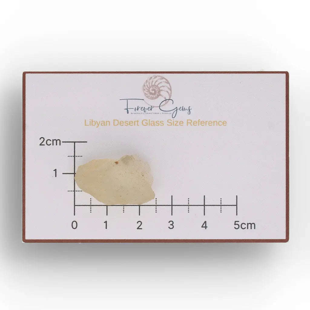 4.7g Natural Libyan Desert Glass Collector's Specimen