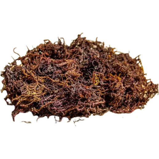 Wild Crafted Sea Moss Gel - 500ml