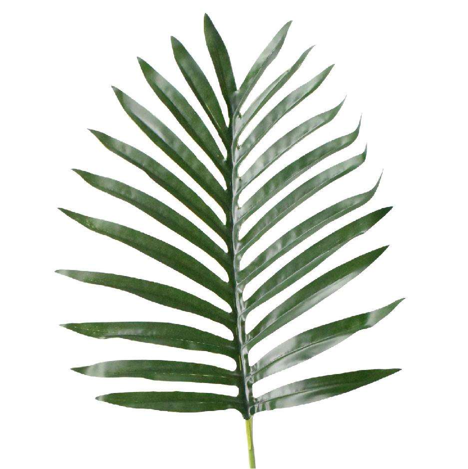 Fern Leaf Stems Set of 5