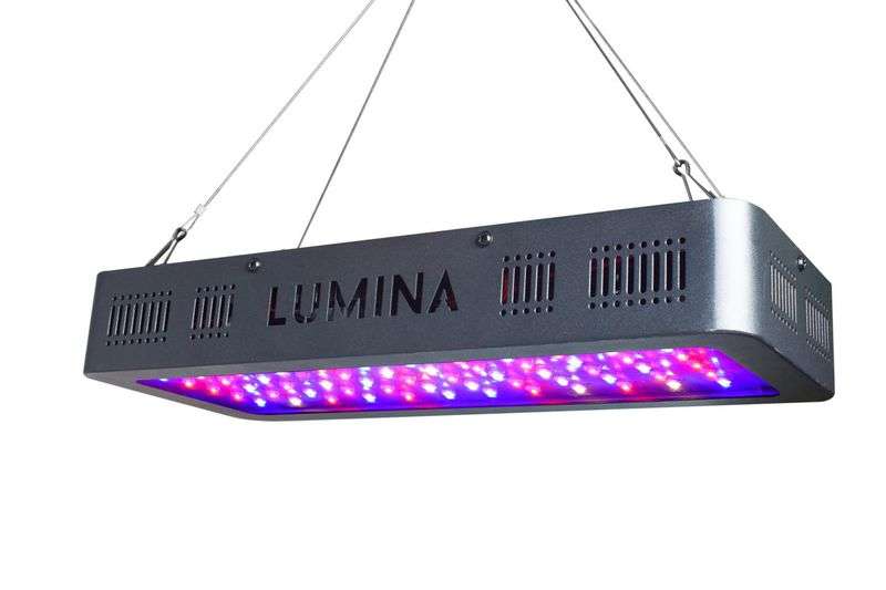 Lumina 600W Double Switch Plant LED Grow Light