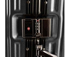 Trunk Luggage Set