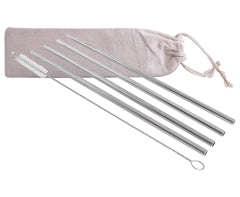 5-Piece SS Straws & Pipe Cleaner