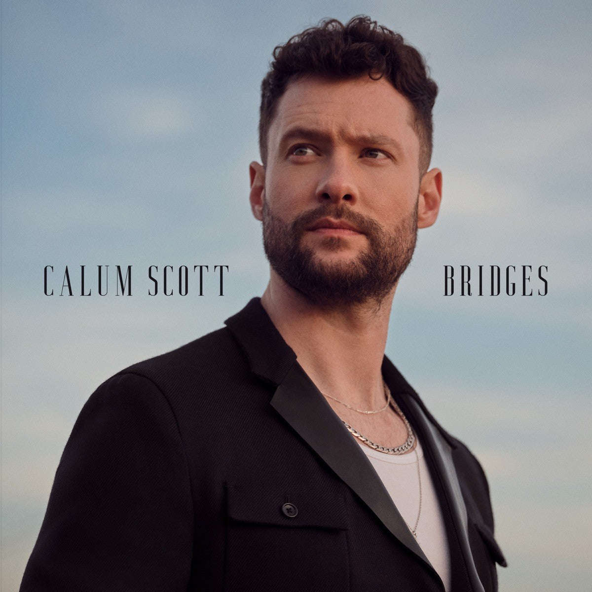 Calum scott - Bridges (standard cd)