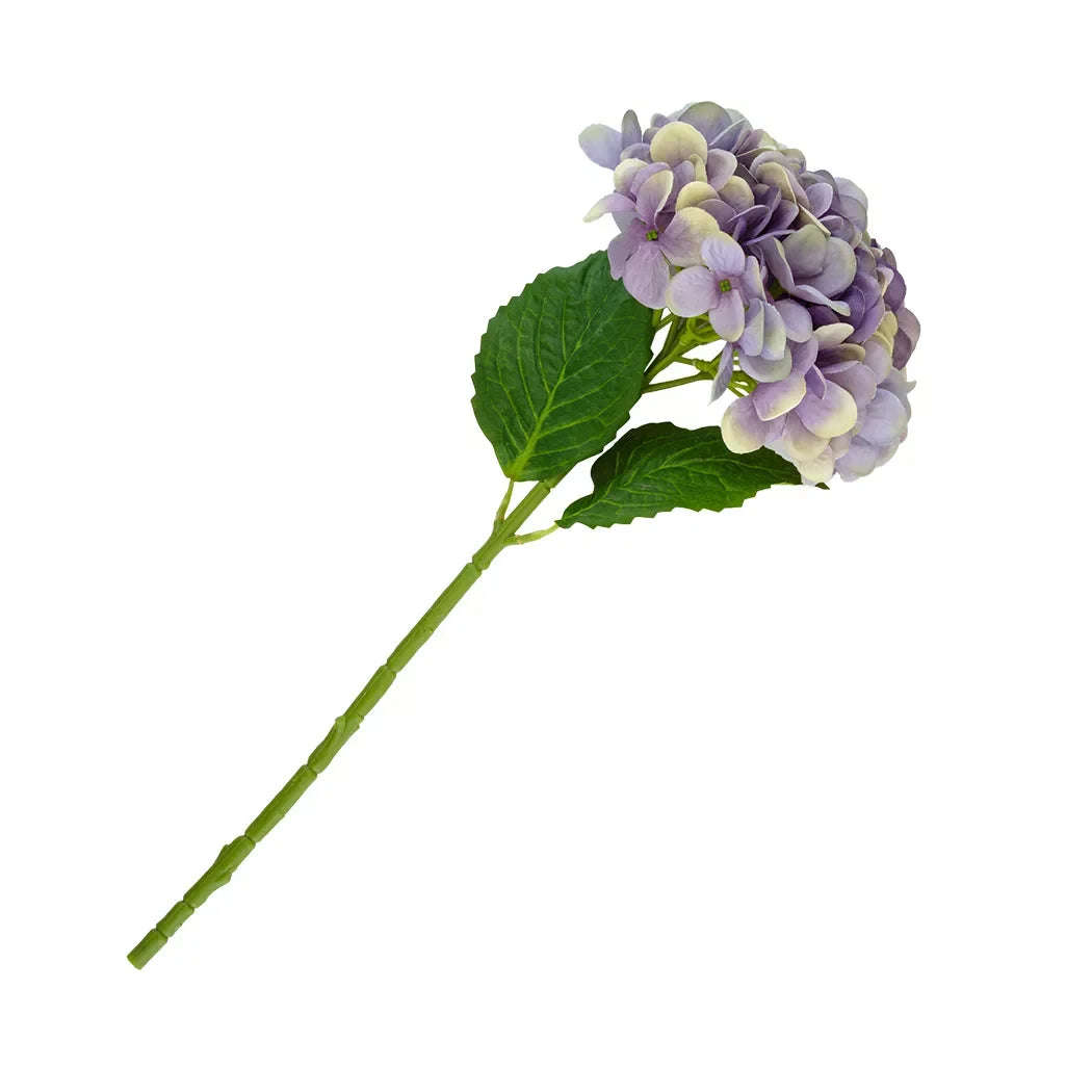 Hydrangea - Lilac Purple