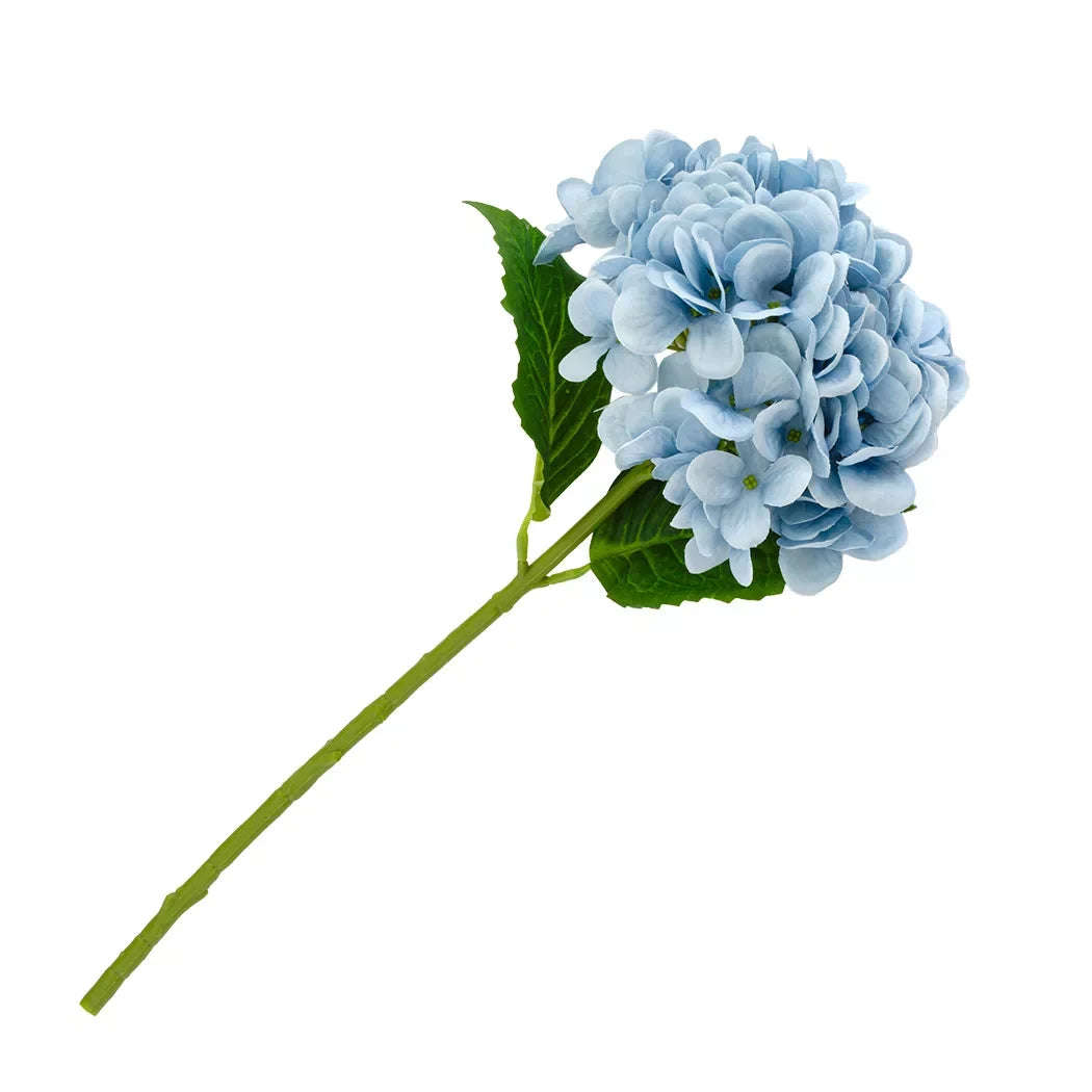 Hydrangea - Powder Blue
