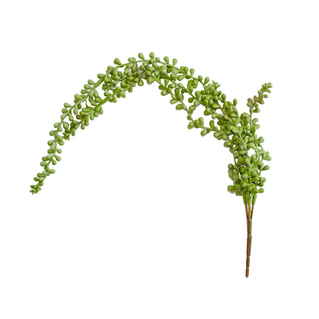 Leaf String - Succulent Pearls 60cm