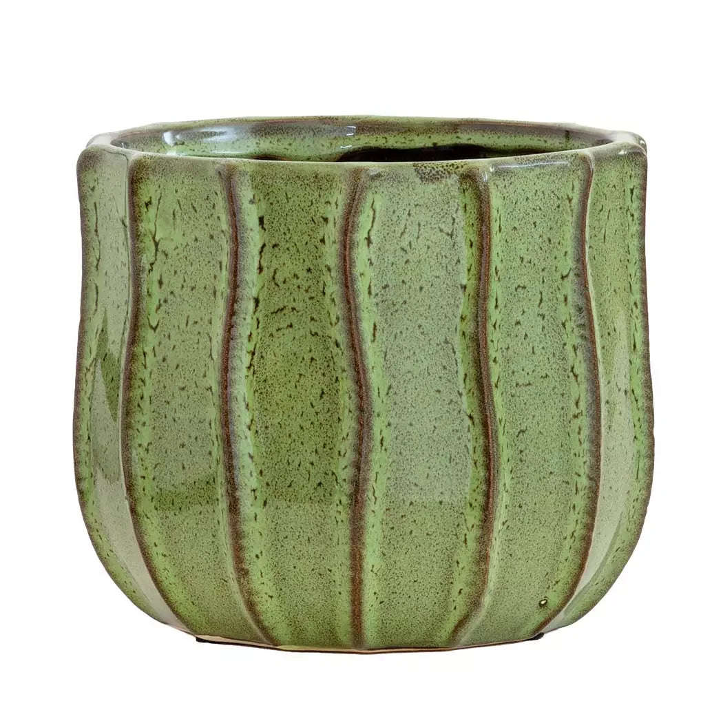 Planter - Ceramic Green Cacti 15cm