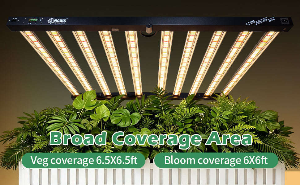 1000W Samsung LM281B LED Grow Light | Programmable Sunrise/Sunset + Timer | Lucius Black Label