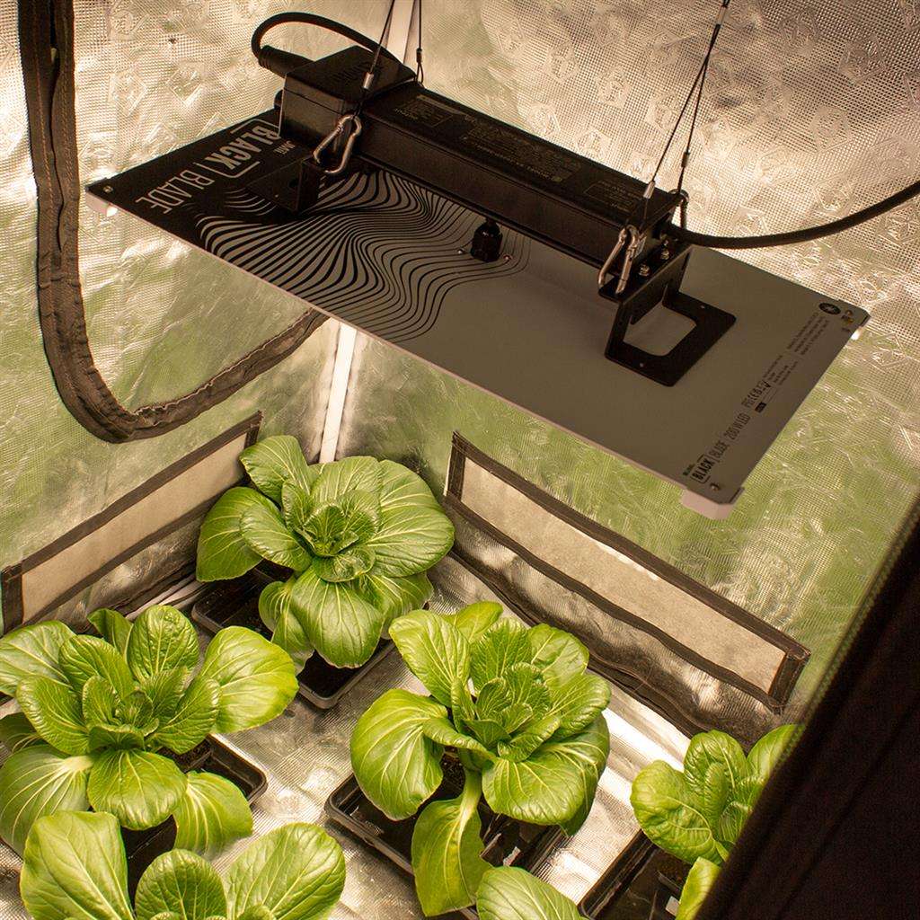 200W LUMii BLACK Blade LED Grow Light