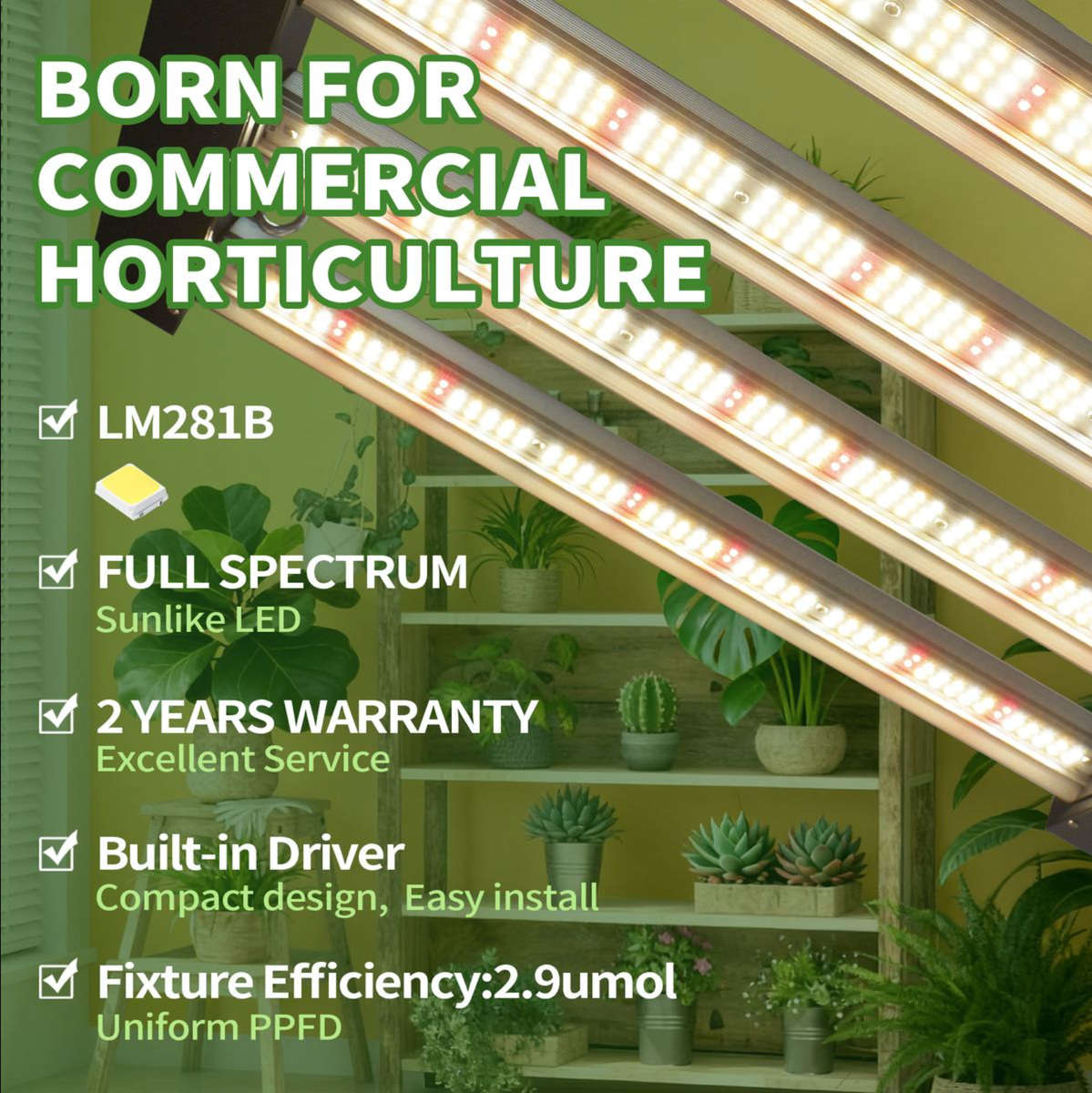 240W Samsung LM281B LED Grow Light | Programmable Sunrise/Sunset + Timer | Lucius Black Label