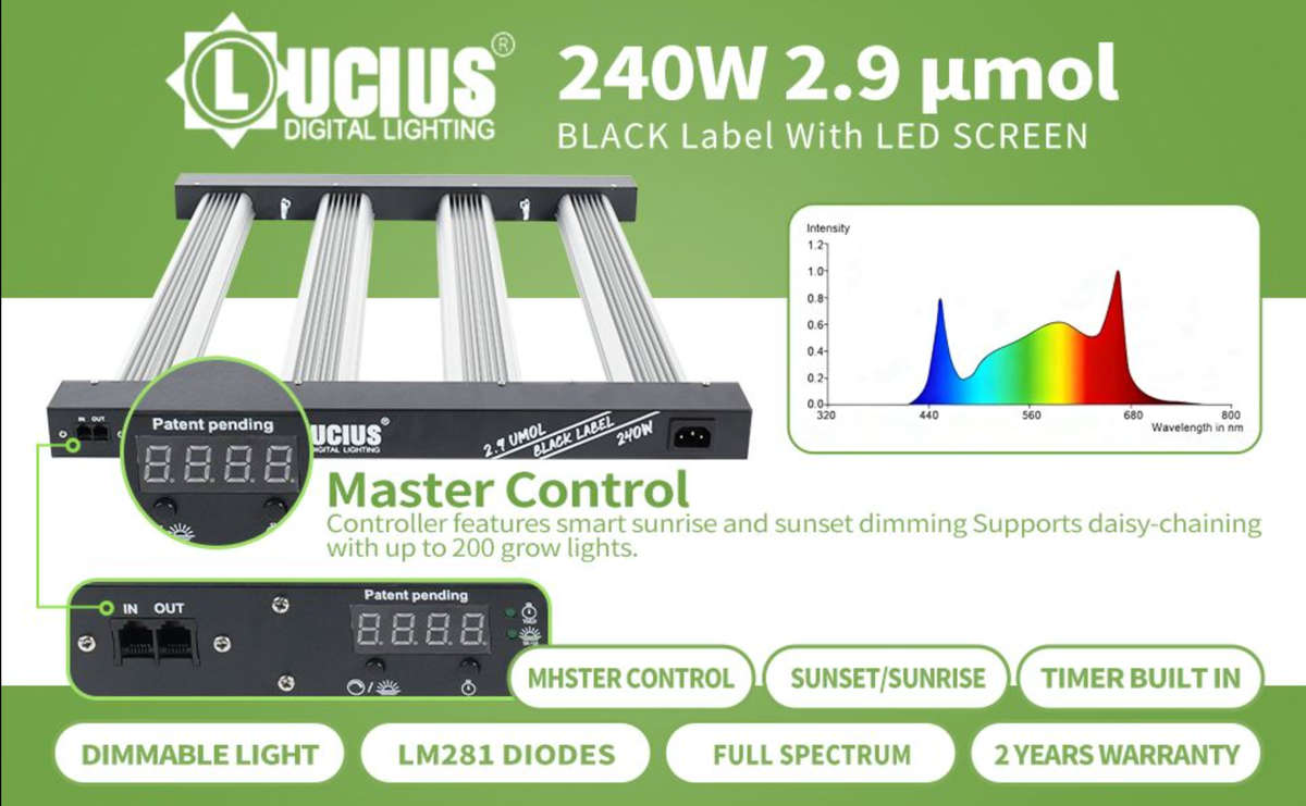 240W Samsung LM281B LED Grow Light | Programmable Sunrise/Sunset + Timer | Lucius Black Label
