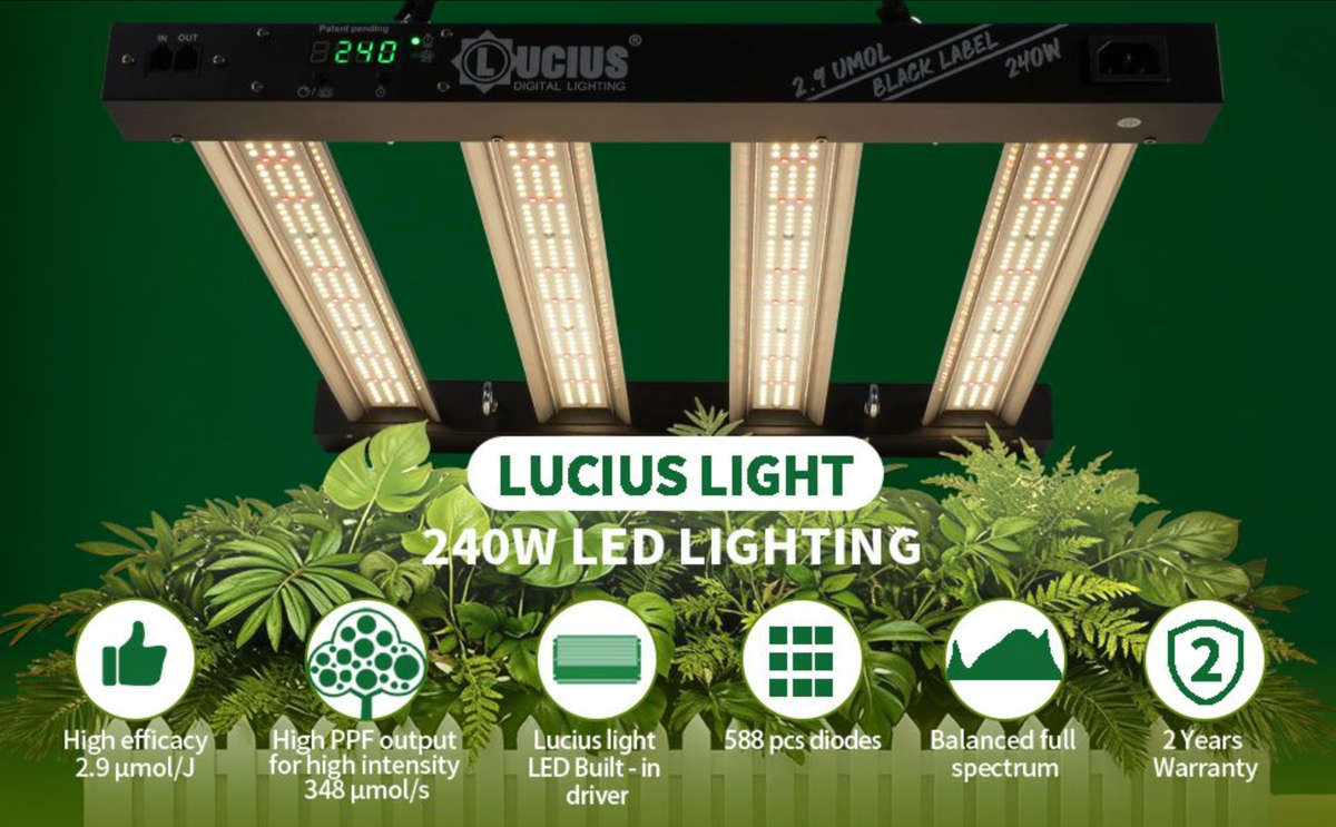 240W Samsung LM281B LED Grow Light | Programmable Sunrise/Sunset + Timer | Lucius Black Label