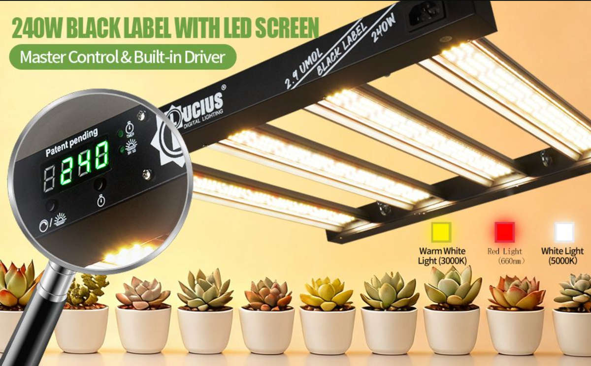 240W Samsung LM281B LED Grow Light | Programmable Sunrise/Sunset + Timer | Lucius Black Label