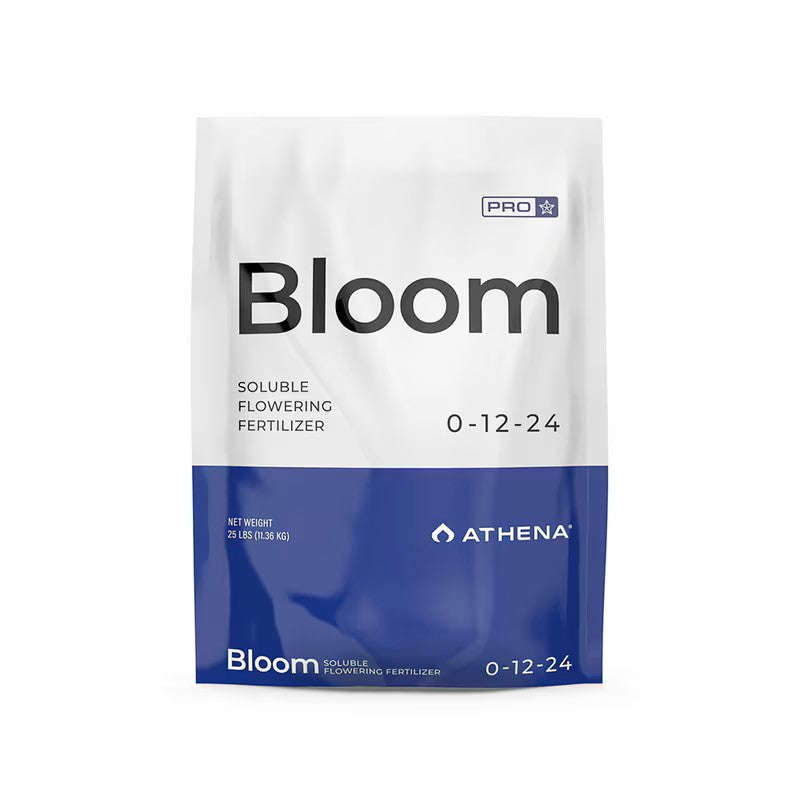 Athena Pro  Bloom