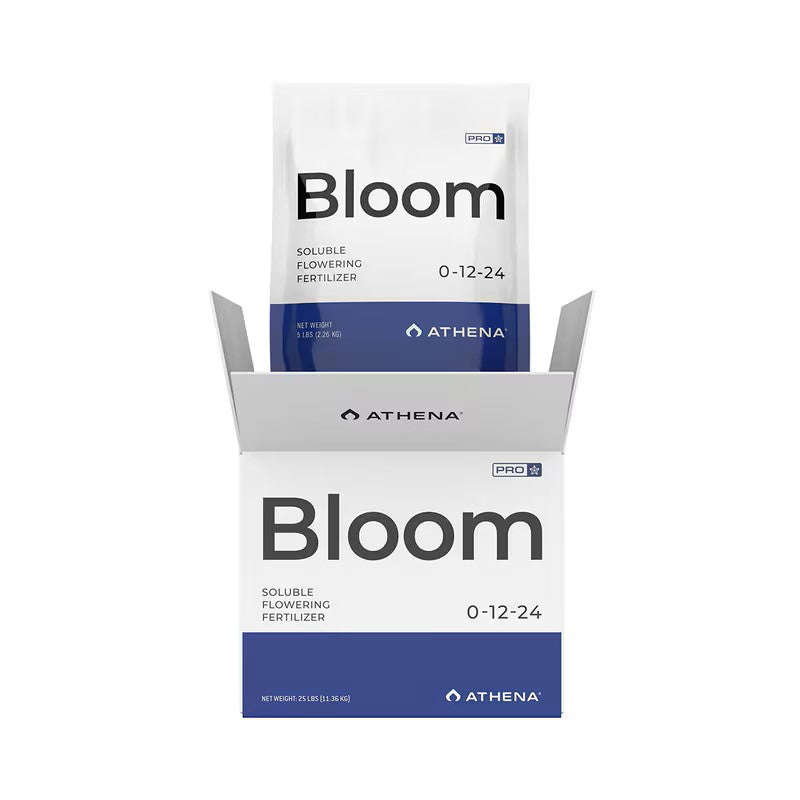 Athena Pro  Bloom