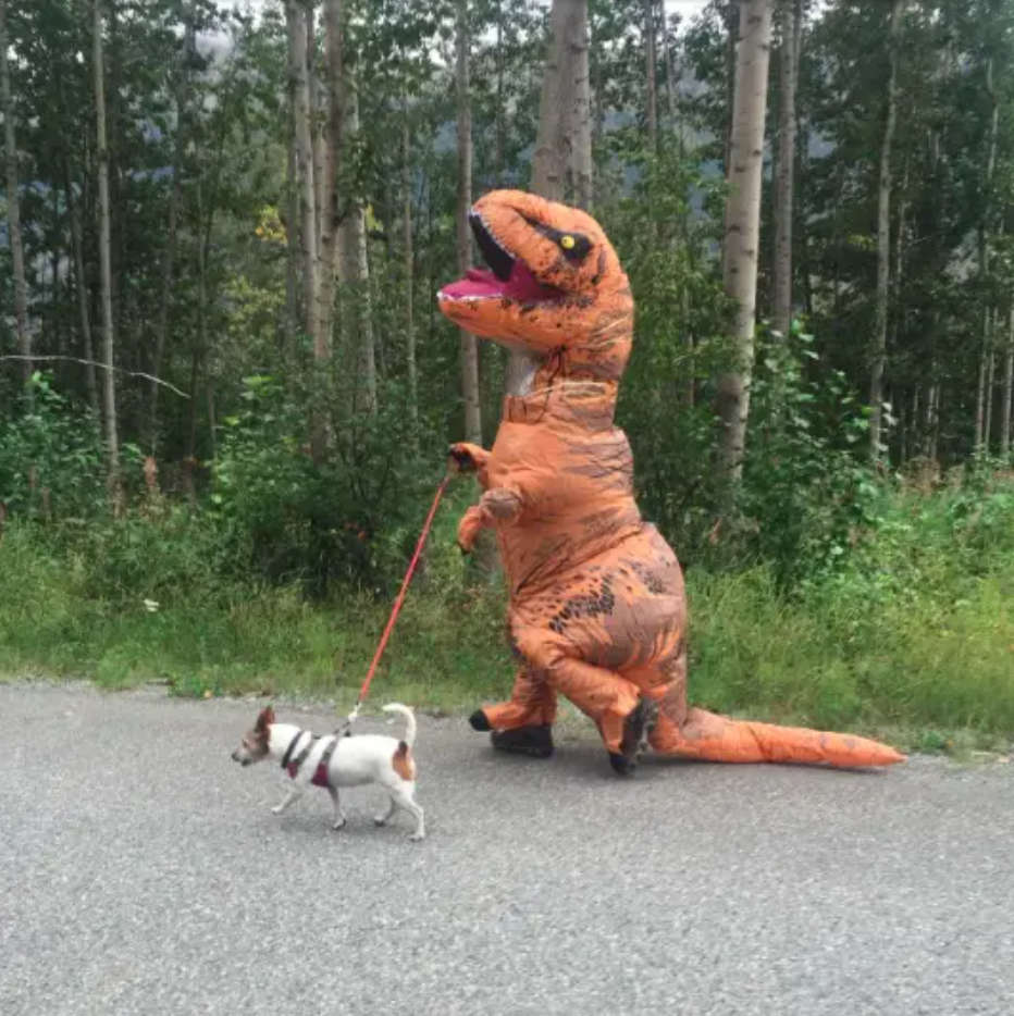 Dinosaur T-Rex Full Suit With Automatic Battery Air Inflator