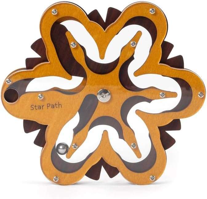 Constantin Star Path - A Triple Layered Maze Puzzle Brainteaser from Recent Toys