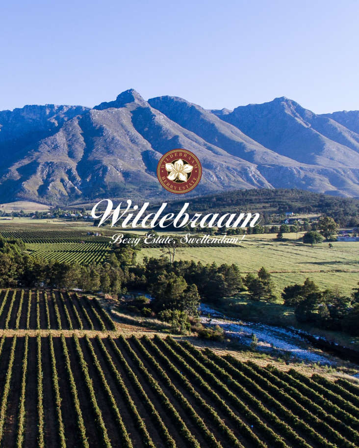 Wildebraam Green Fig Preserved in Syrup 3 x 515g Jars