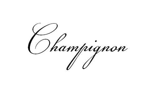 Sterling Silver Disc Pendant