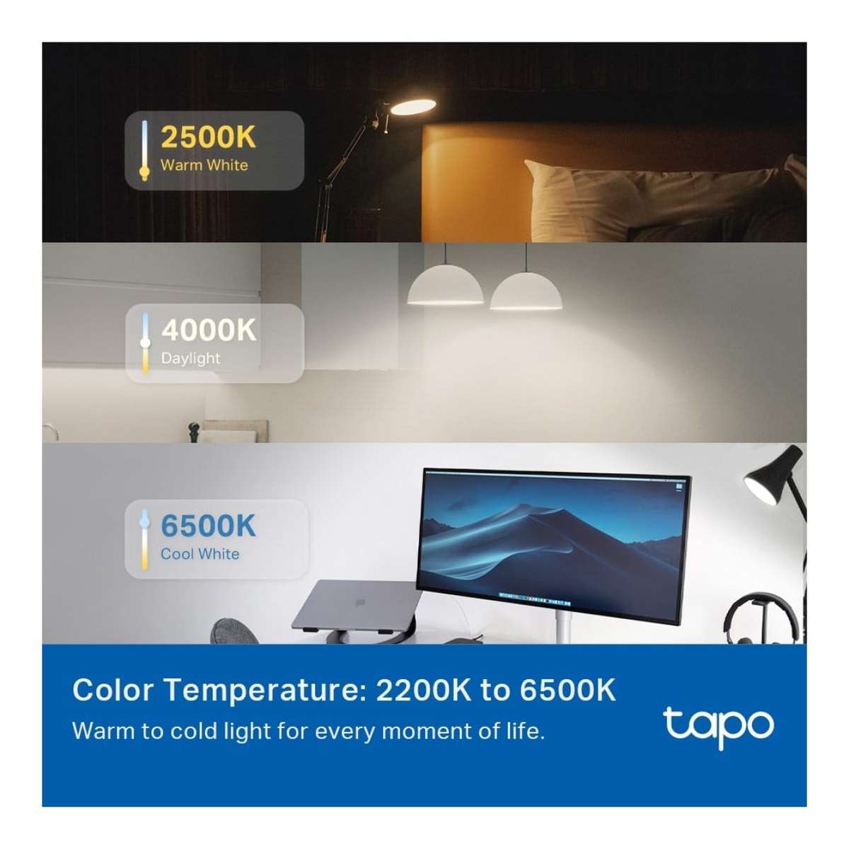 TP-Link Tapo L535E Smart Wi-Fi Light Bulb