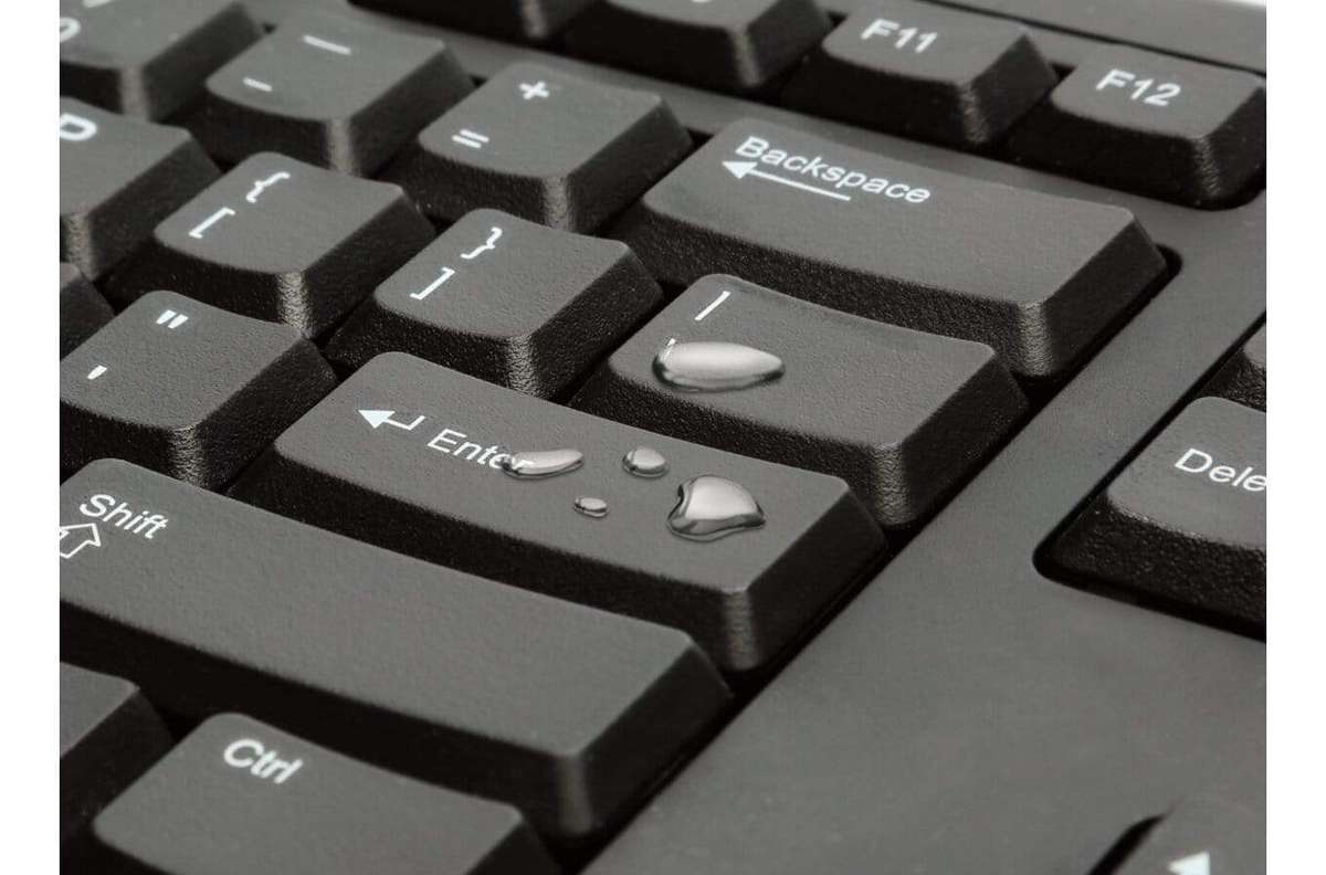 Kensington Value Keyboard Black Netherlands