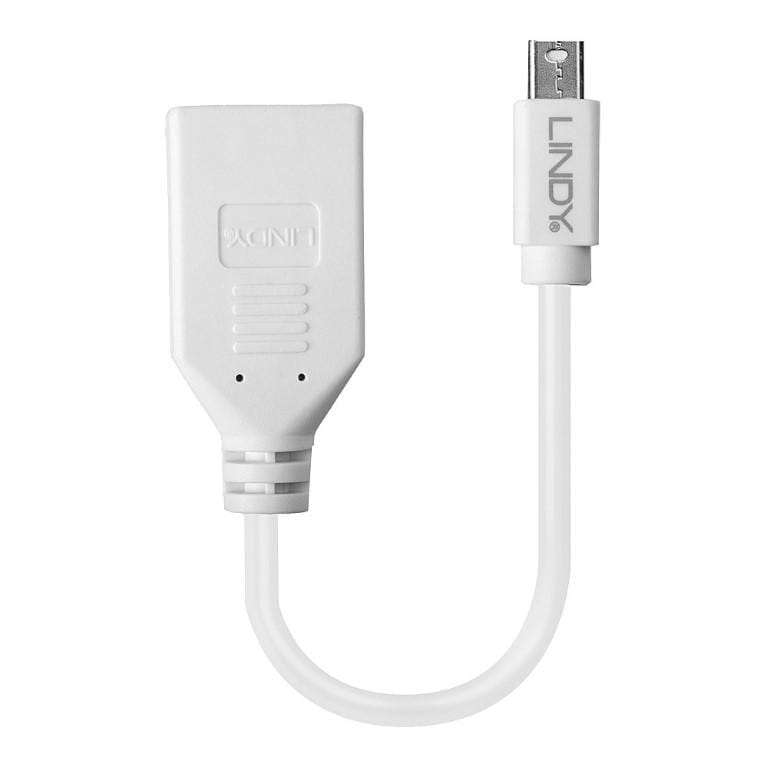 Lindy Mini-DP Male to DisplayPort Female Premium Adapter Cable 41021