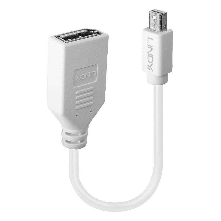 Lindy Mini-DP Male to DisplayPort Female Premium Adapter Cable 41021