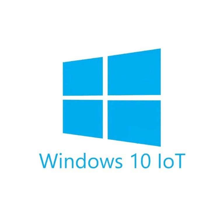 Microsoft Windows 10 IoT Enterprise 2021 Individual Key License MUV-00027
