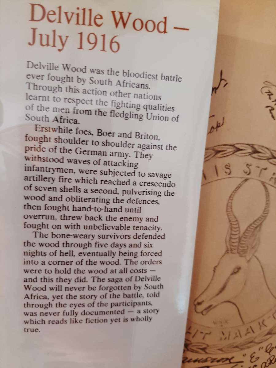Delville Wood by Uys, Ian S