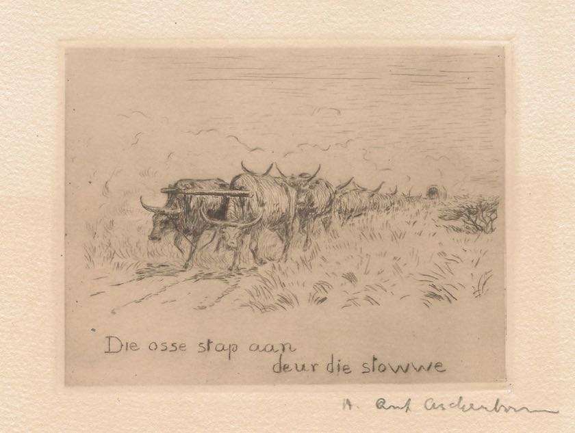 Die Vlakte: Etse vir Gedigte van F.E. Cilliers deur Hans Anton Aschenborn