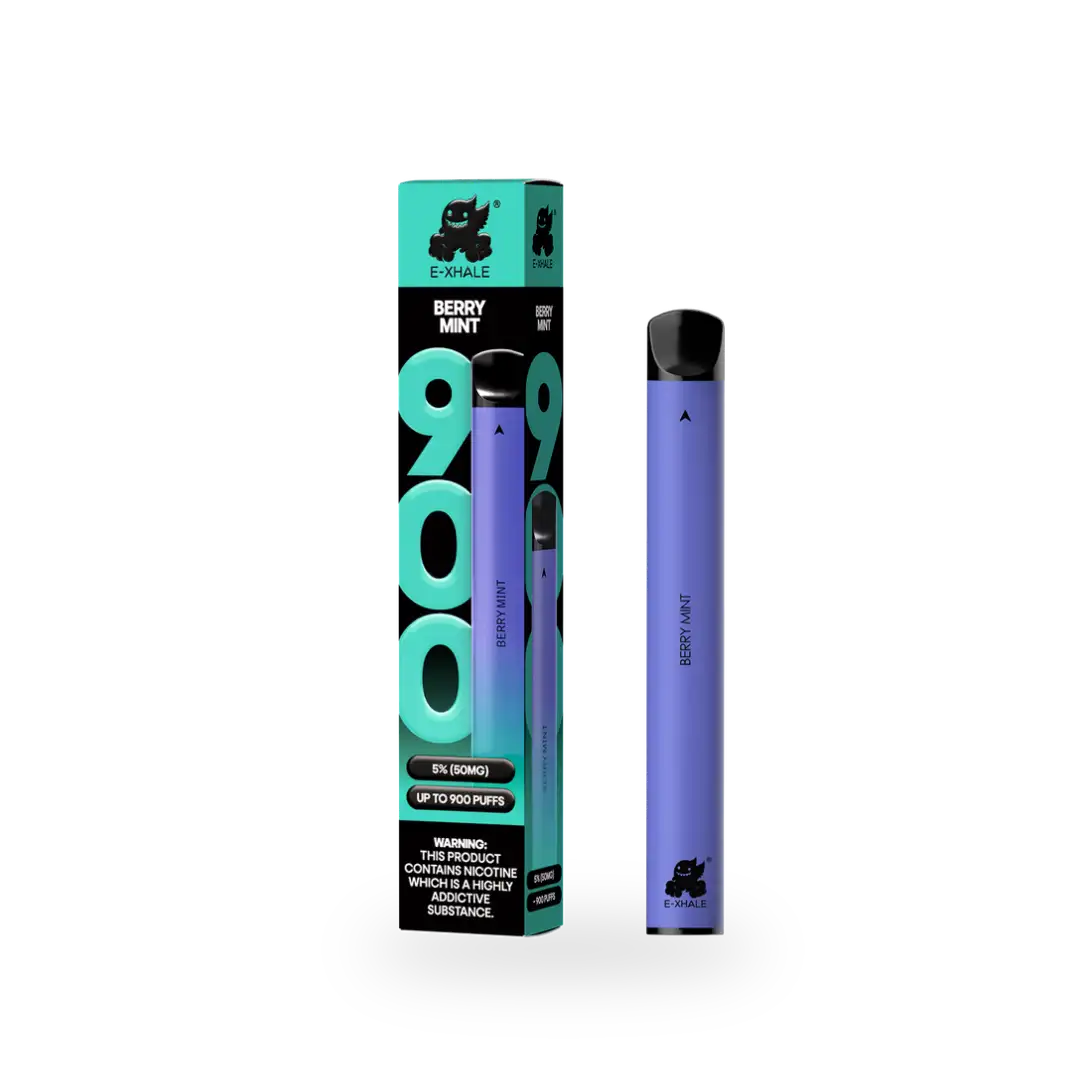 900 Berry Mint Disposable Vape 10-Pack - 5% Nicotine
