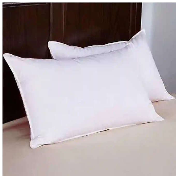 Twin Pack Pillows