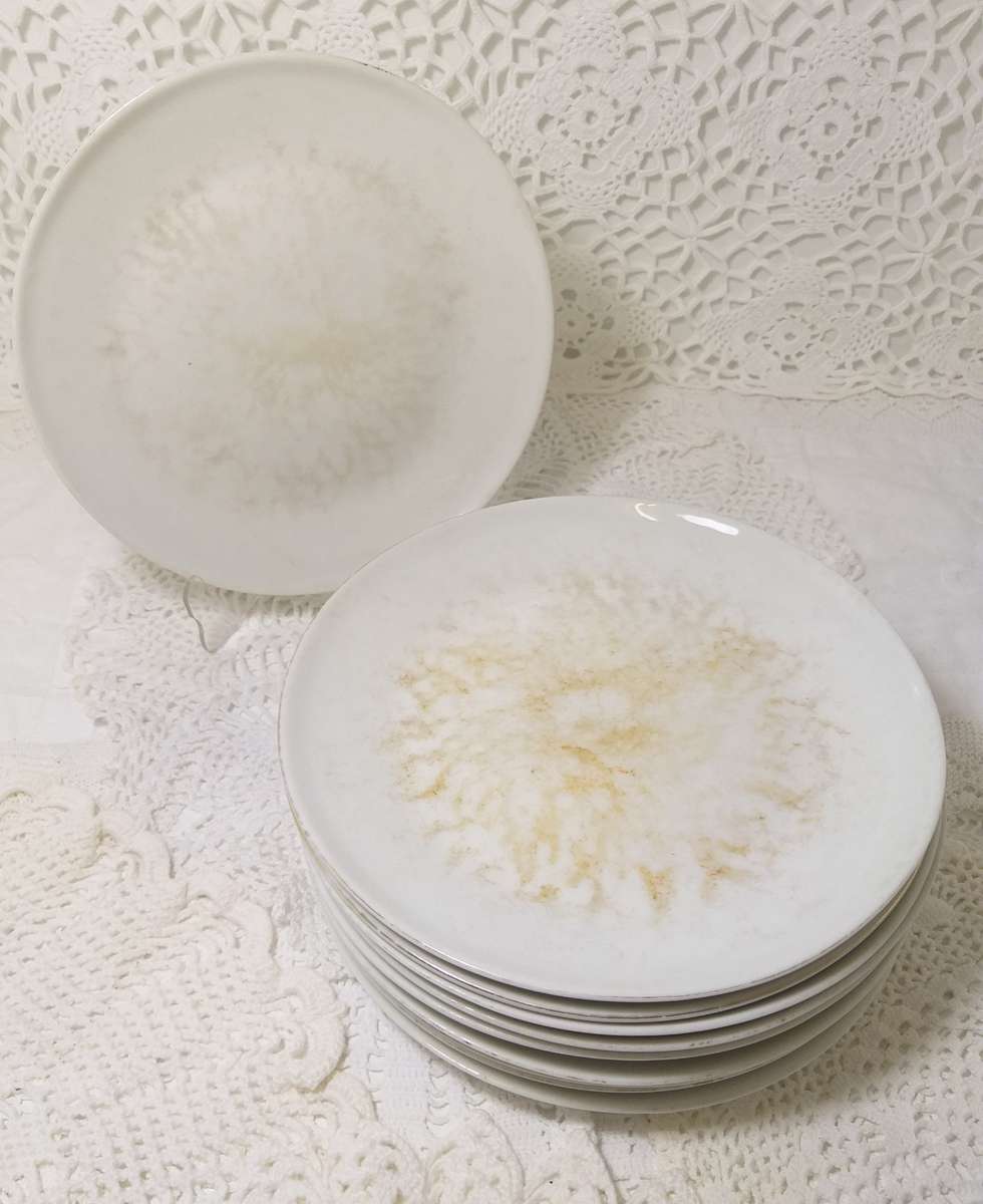 Vintage Set Of 10 South African Hugeunot Royale Ceramic Side Plates