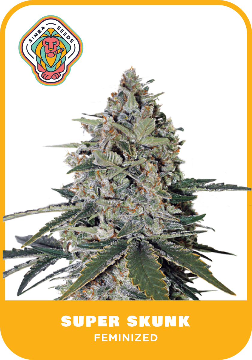 Super Skunk Feminized Genetics - 1 Bean by Simba Seeds