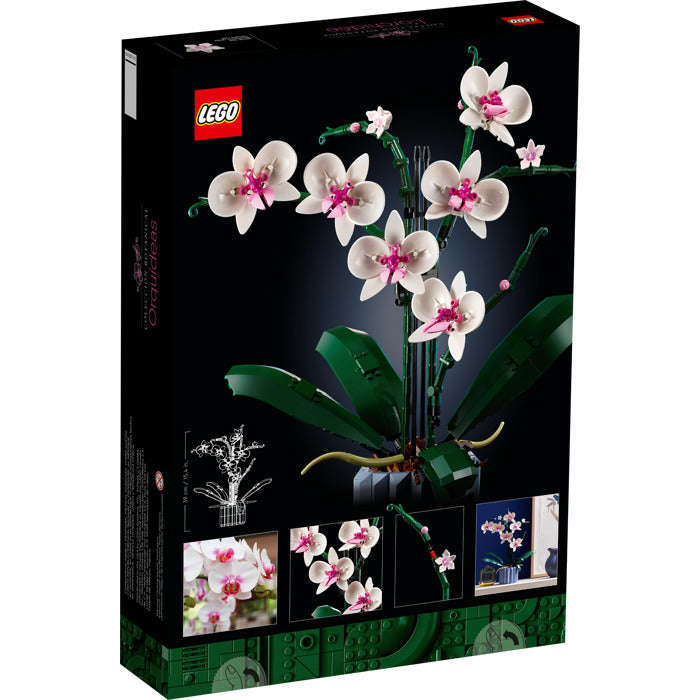 LEGO 10311 - Creator Expert Orchid