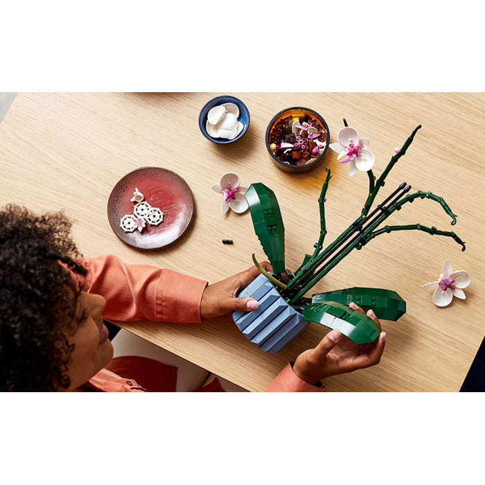 LEGO 10311 - Creator Expert Orchid