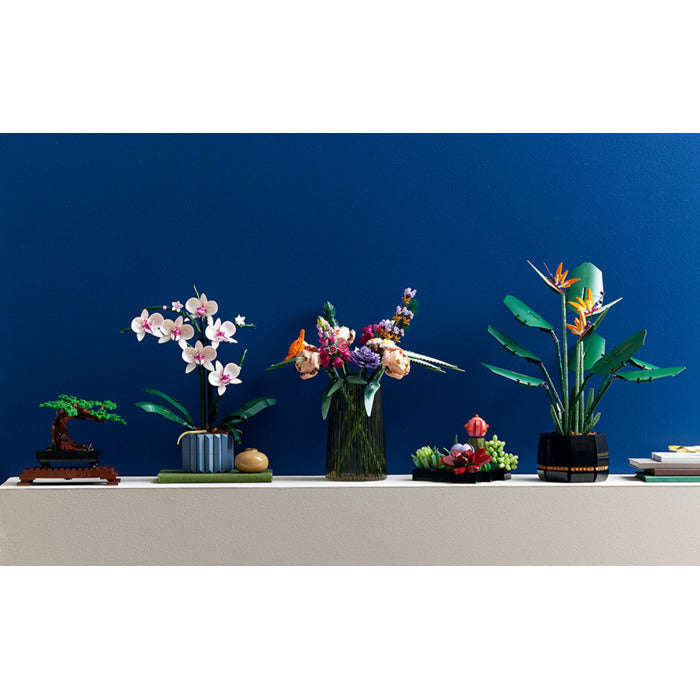 LEGO 10311 - Creator Expert Orchid