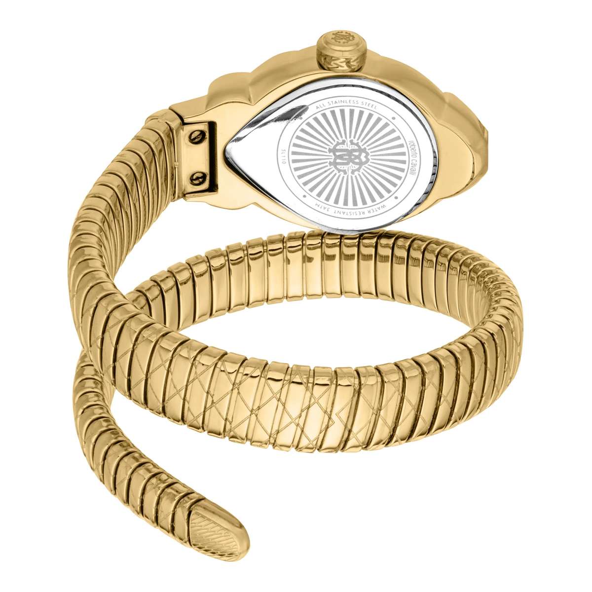 Roberto Cavalli Lady Watch with Case Size