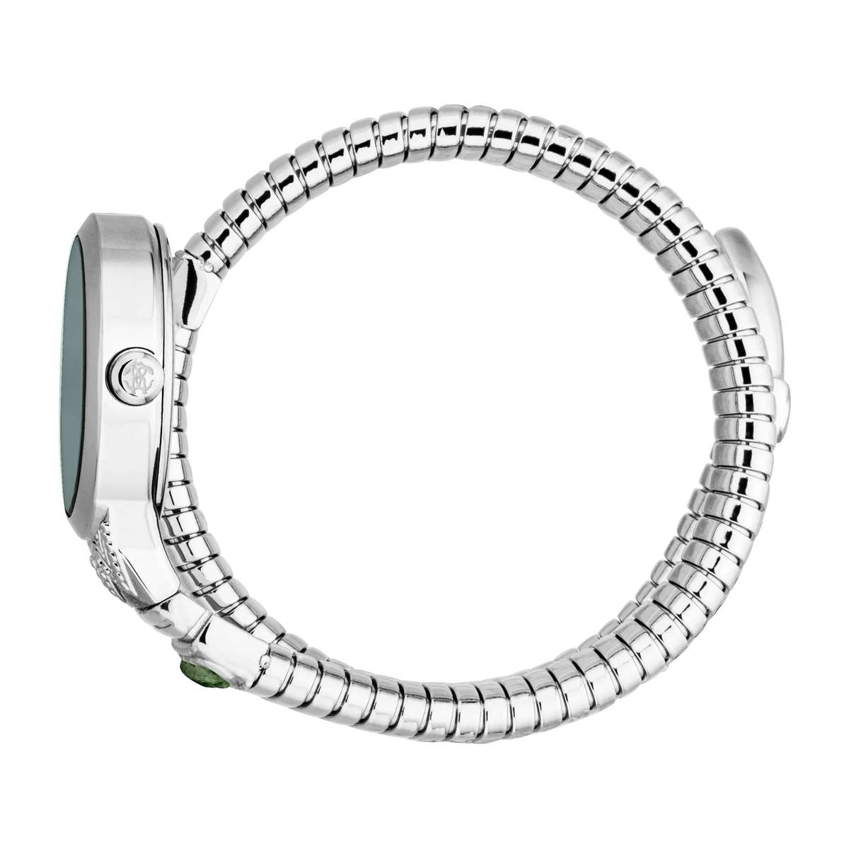 Roberto Cavalli Lady Watch with 38mm Case Size