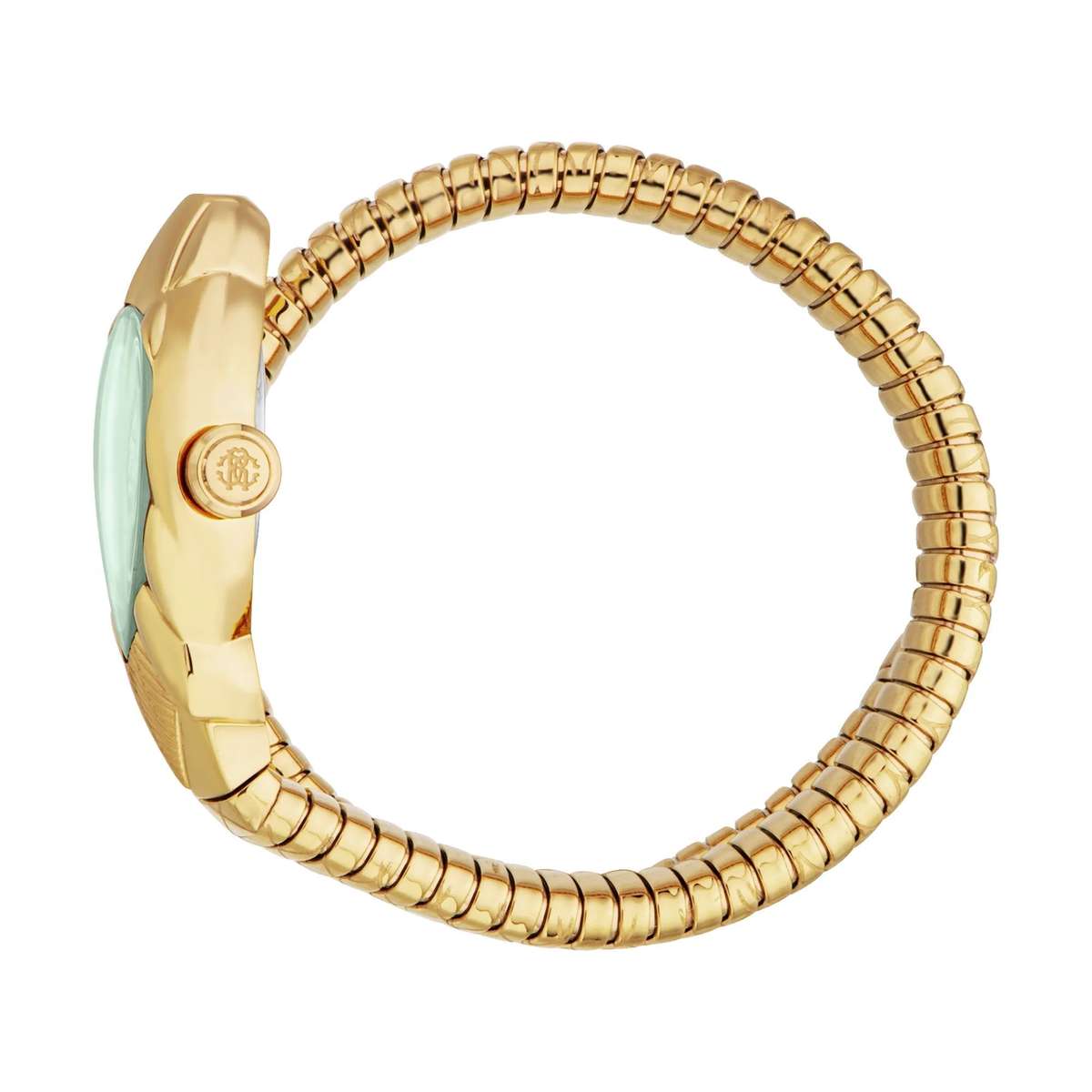 Roberto Cavalli Lady Watch with Case Size