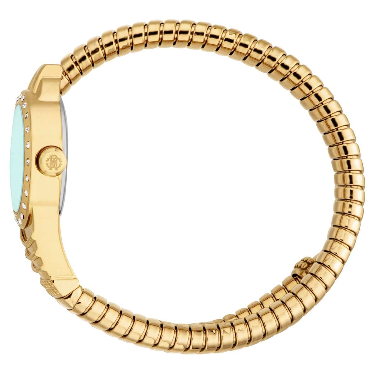 Roberto Cavalli Lady Watch with 45mm Case Size