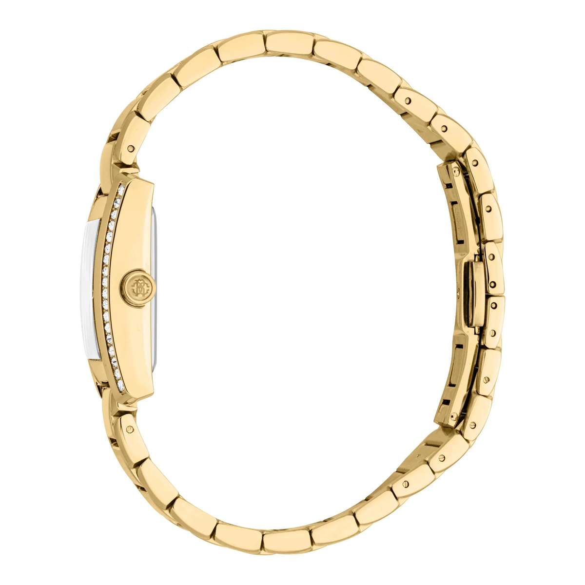 Roberto Cavalli Lady Watch with Case Size