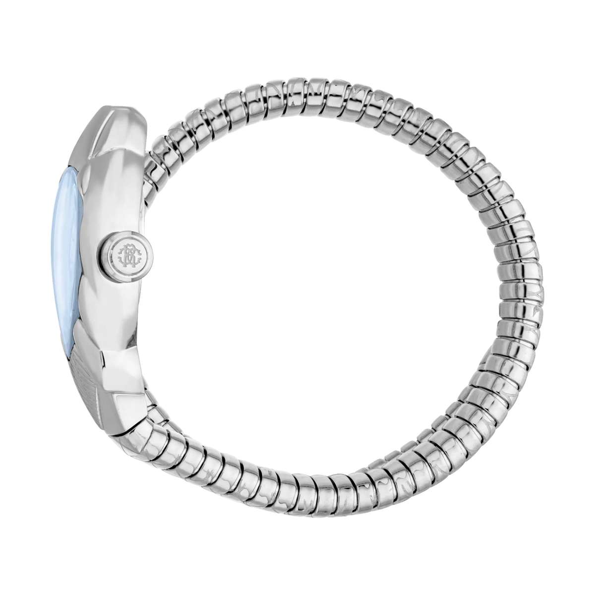 Roberto Cavalli Lady Watch with 38mm Case Size