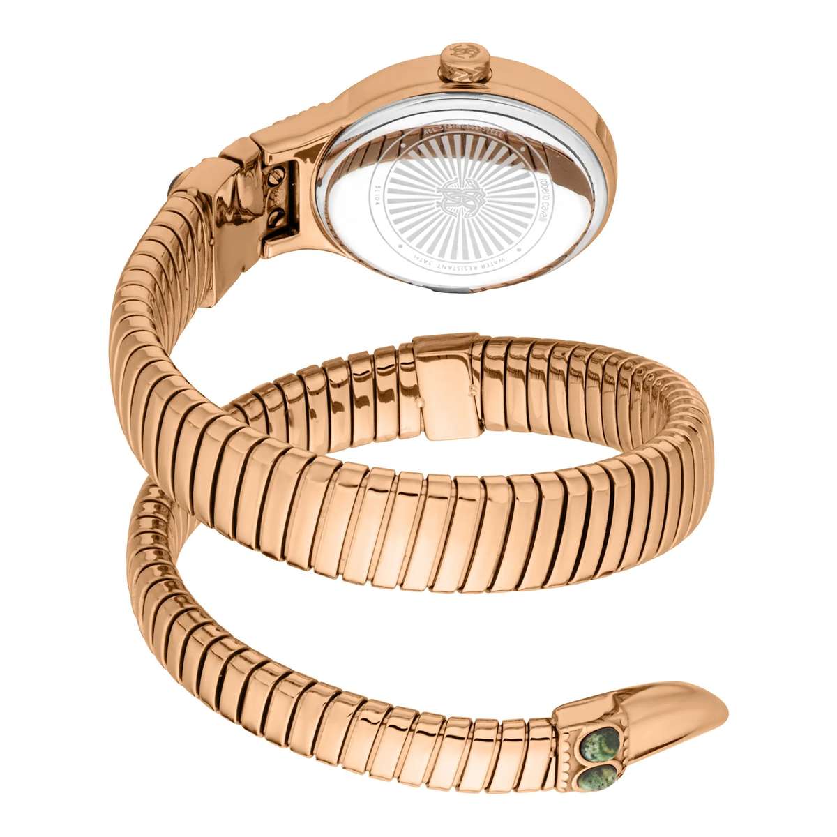 Roberto Cavalli Lady Watch with 38mm Case Size