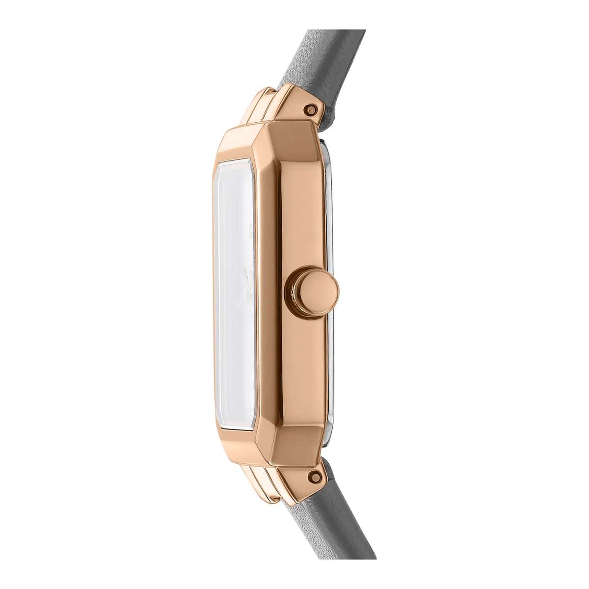 DKNY DK1L076L Watch