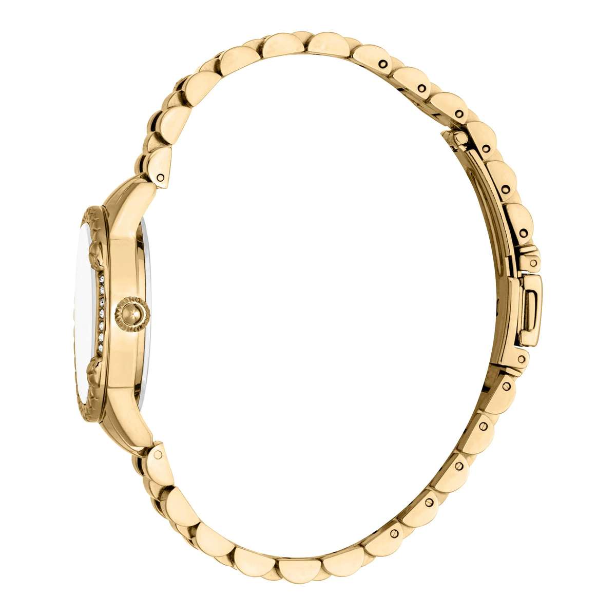 Just Cavalli Animalier Fiorenza Snake Yellow Gold MOP