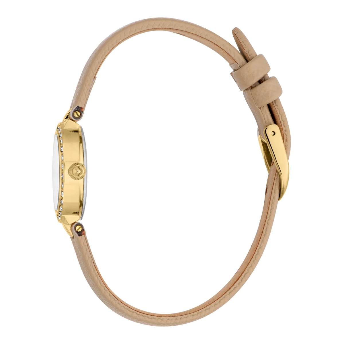 Just Cavalli Glam Chic Serenita Mini Leather Beige YG Silver