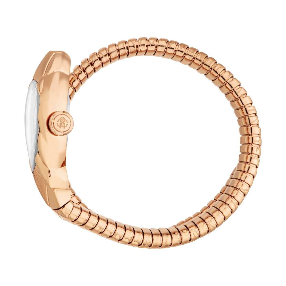 Roberto Cavalli Lady Watch Case Size 38mm
