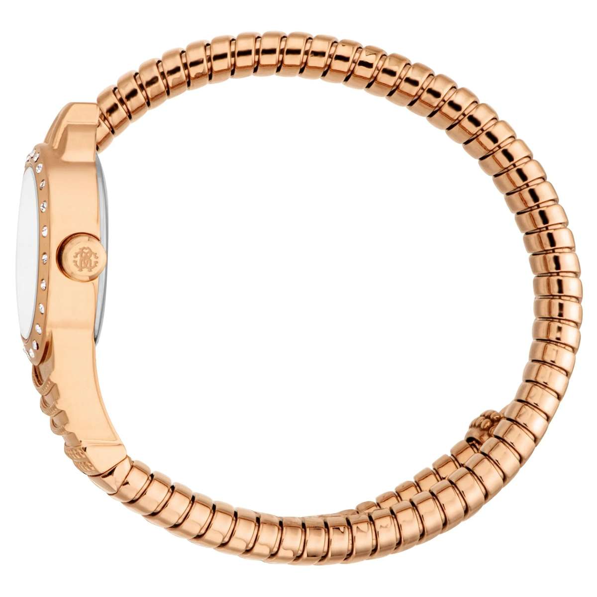 Roberto Cavalli Lady Watch with 38mm Case Size
